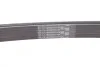 Ремінь приводний поліклінової Contitech 6PK2360 (фото 3)