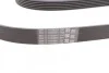 Ремінь генератора Audi A4/A6/MB W203/204/Passat CONTITECH Contitech 6PK2404 (фото 2)