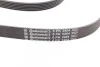 Ремінь генератора Audi A4/A6/MB W203/204/Passat CONTITECH Contitech 6PK2404 (фото 3)