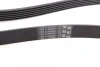 Ремень приводной поликлиновой Contitech 6PK2528 (фото 3)