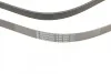 Ремень генератора Crafter 2.5TDI 06> (+AC) CONTITECH Contitech 6PK2581 (фото 4)