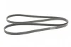 Ремень генератора Crafter 2.5TDI 06> (+AC) CONTITECH Contitech 6PK2581 (фото 5)