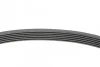 Ремень приводной поликлиновой Contitech 6PK701 ELAST (фото 2)