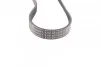 Ремень приводной поликлиновый Contitech 6PK831ELAST (фото 3)