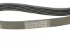 Ремінь генератора Movano 2.8DTI 98>01 ALT,WP 3053818> CONTITECH Contitech 6PK850 (фото 3)