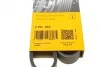 Ремінь генератора Movano 2.8DTI 98>01 ALT,WP 3053818> CONTITECH Contitech 6PK850 (фото 6)