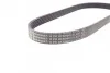Ремень приводной поликлиновый Contitech 6PK873ELAST (фото 2)