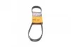 Ремінь генератора Jumper/Boxer 2.0/2.2HDi 06.04- (-AC)/Movano 2.5D CONTITECH Contitech 6PK875 (фото 1)