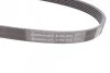 Ремінь генератора Jumper/Boxer 2.0/2.2HDi 06.04- (-AC)/Movano 2.5D CONTITECH Contitech 6PK875 (фото 3)