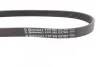 Ремінь приводний поліклінової Contitech 6PK905 EXTRA (фото 2)