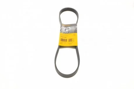 Ремень генератора Jumper/Boxer 2.5D/TDI 94>02 AC/2.5D >11.95 VACP/2.5TD 9 CONTITECH Contitech 6PK915
