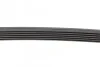 Ремень приводной поликлиновой Contitech 6PK970 (фото 3)