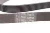 Ремінь генератора Master/Trafic 2.5 CDTI/dCi 03- Contitech 7PK1834 (фото 2)