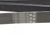 Ремінь приводного навісного обладнання Contitech 7PK2958 (фото 3)