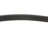 Полікліновий ремінь BMW 5 (F10) 535 i xDrive 03/10-10/16 Contitech 8PK1390 (фото 2)