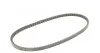 Ремень генератора 13x 875 Daily/LT 2.4D/TD -96 CONTITECH Contitech AVX13x875 (фото 5)