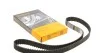 Ремінь ГРМ Combo/Astra G/H 1.7 DI/CDTi 01- CONTITECH Contitech CT1014 (фото 1)
