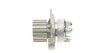 Комплект пасу ГРМ з насосом Audi A3/VW Caddy III/V Contitech CT1028WP3 (фото 9)