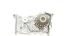 Комплект пасу ГРМ з насосом Renault Clio III/Lagun Contitech CT1179WP4 (фото 3)