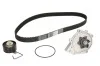 Комплект ГРМ (ремінь + ролик + водяний насос) LAND ROVER FREELANDER I LOTUS ELISE MG MG 6, MG TF, MG ZR, MG ZS, MG ZT, MG ZT- T, MGF ROVER 200, 200 II, 25 I, 400 II, 45 I, 75, 75 I 1.1-1.8 12.92- Contitech CT974WP1 (фото 1)