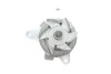 Насос водяний Contitech WPS3151 (фото 1)