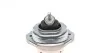 Подушка двигуна BMW X5 (E53) xDrive 2000 - 2006 CORTECO 80001082 (фото 2)