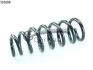 Пружина передняя Bmw X 5 II (E70, E70N) 3.0sd / 4.8i 07-09 14101604