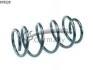 Пружина передняя Nissan Qashqa 2.0 dCi 4WD 07-13 CS Germany 14876528 (фото 1)