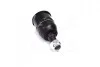 Опора кульова нижня Honda Accord 03-08 (вир-во) CTR CB0118 (фото 1)