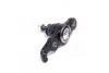 Опора кульова нижня R Hyundai Tucson 05- Kia Sportage 06- (вир-во) CTR CB0203 (фото 2)