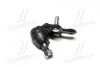 Опора кульова нижня R Toyota Camry 30 35 Highlander 01- Lexus RX330 (вир-во) CTR CB0402R (фото 1)