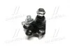 Опора кульова нижня Toyota Prius 03- Matrix 03-05 (вир-во) CTR CB0411 (фото 2)