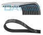 Доріжковий пас 10PK1705HD