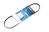 Ремень приводной поликлиновый Dayco DAYCO 3PK700 (фото 1)