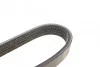 Ремень приводной поликлиновый Dayco DAYCO 4PK1022EE (фото 2)