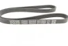 Ремень приводной поликлиновый Dayco DAYCO 4PK1022EE (фото 3)