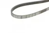 Ремень поликлиновый (применимость ford) DAYCO 4PK1488 (фото 2)