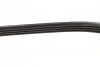 Ремень приводной поликлиновый Dayco DAYCO 4PK725 (фото 3)