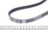 Ремінь П-клиновий Dayco DAYCO 4PK905 (фото 3)