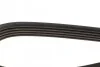 Ремінь П-клиновий Dayco DAYCO 5PK1025 (фото 3)