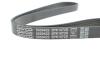 Ремень П-клиновый DAYCO 5PK1072S (фото 4)