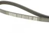 Ремень приводной поликлиновый Dayco DAYCO 5PK1110 (фото 3)