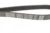 Ремень приводной поликлиновый DAYCO 5PK1200 (фото 3)