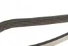 Ремень приводной поликлиновый DAYCO 5PK1200 (фото 4)