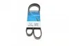 Ремень приводной поликлиновый Dayco DAYCO 5PK1300 (фото 1)