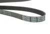 Ремень приводной поликлиновый Dayco DAYCO 5PK1334 (фото 3)