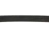 Ремень приводной поликлиновый Dayco DAYCO 5PK1334 (фото 4)