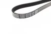 Ремень приводной поликлиновый Dayco DAYCO 5PK1450 (фото 2)