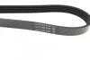 Ремень приводной поликлиновый Dayco DAYCO 5PK1450 (фото 3)
