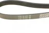 Ремень приводной поликлиновый DAYCO 5PK1500 (фото 3)